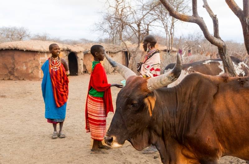 Maasai Village - Tanzanie