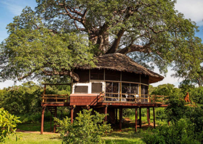 Tarangire Treetops Lodge