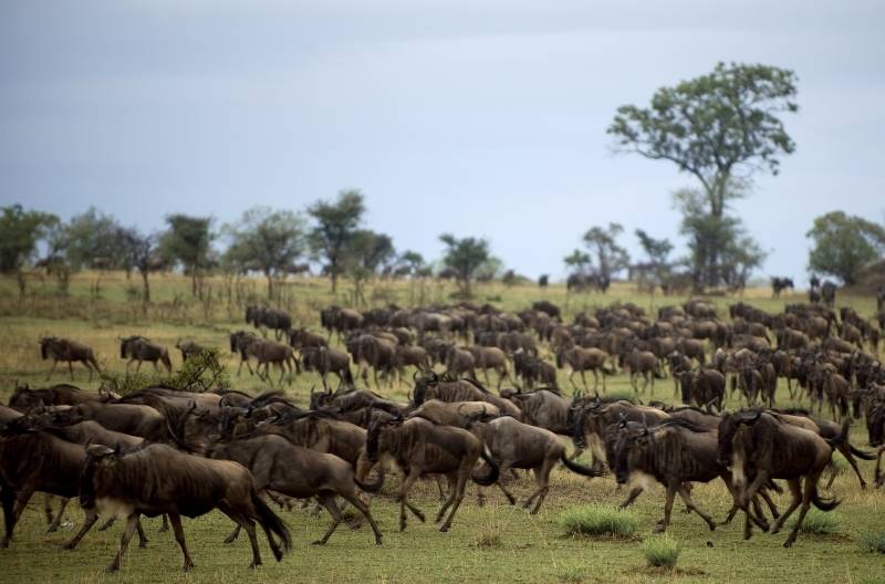 Serengeti National Park