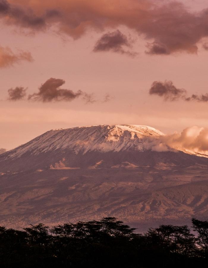 Voir des guépards en Tanzanie